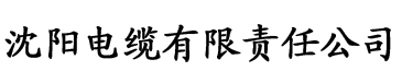 李崇端60集视频全集电缆厂logo